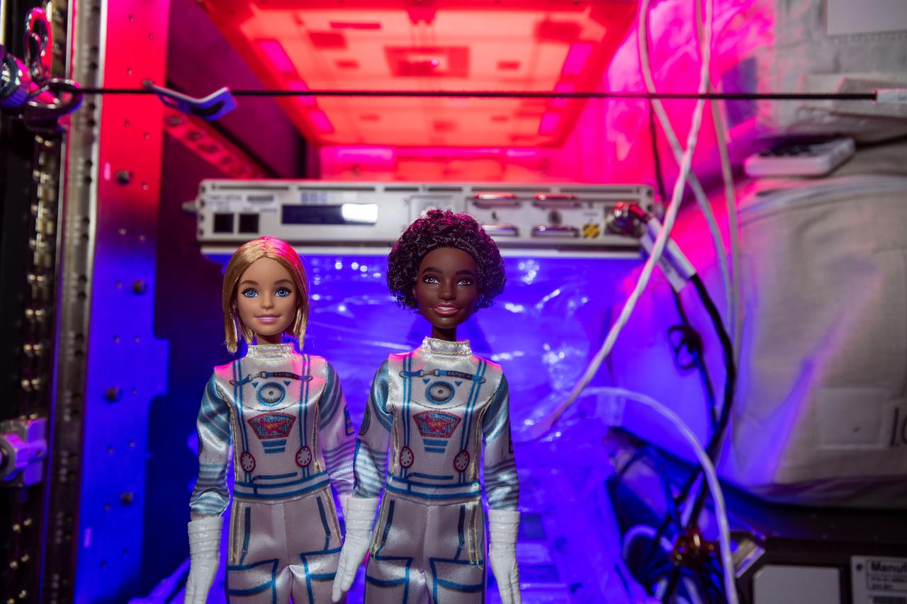 iss066e155892 (3/1/2022) --- DreamStar dolls float in front of Astrobee and Minus Eighty Laboratory Freezer for ISS (MELFI) aboard the International Space Station. The DreamStar science, technology, engineering, and mathematics (STEM) education project creates videos and educational materials highlighting women in space and reinforcing the message, “if you can see it, you can be it.”