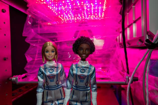 NASA image: Dreamstar - Digital Photo and Record Educational Video with Dolls in Front of Astrobee and MELFI