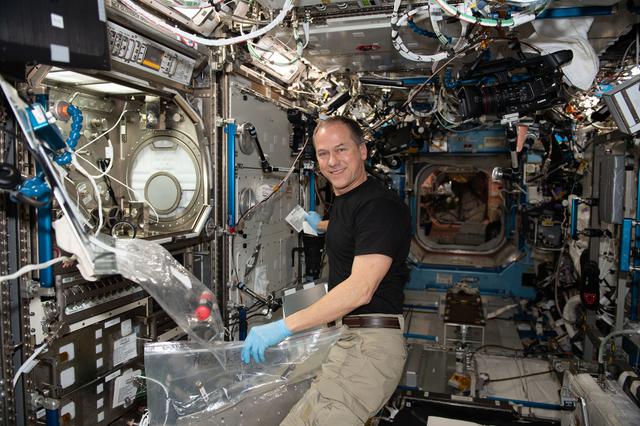 NASA image: iss066e156074