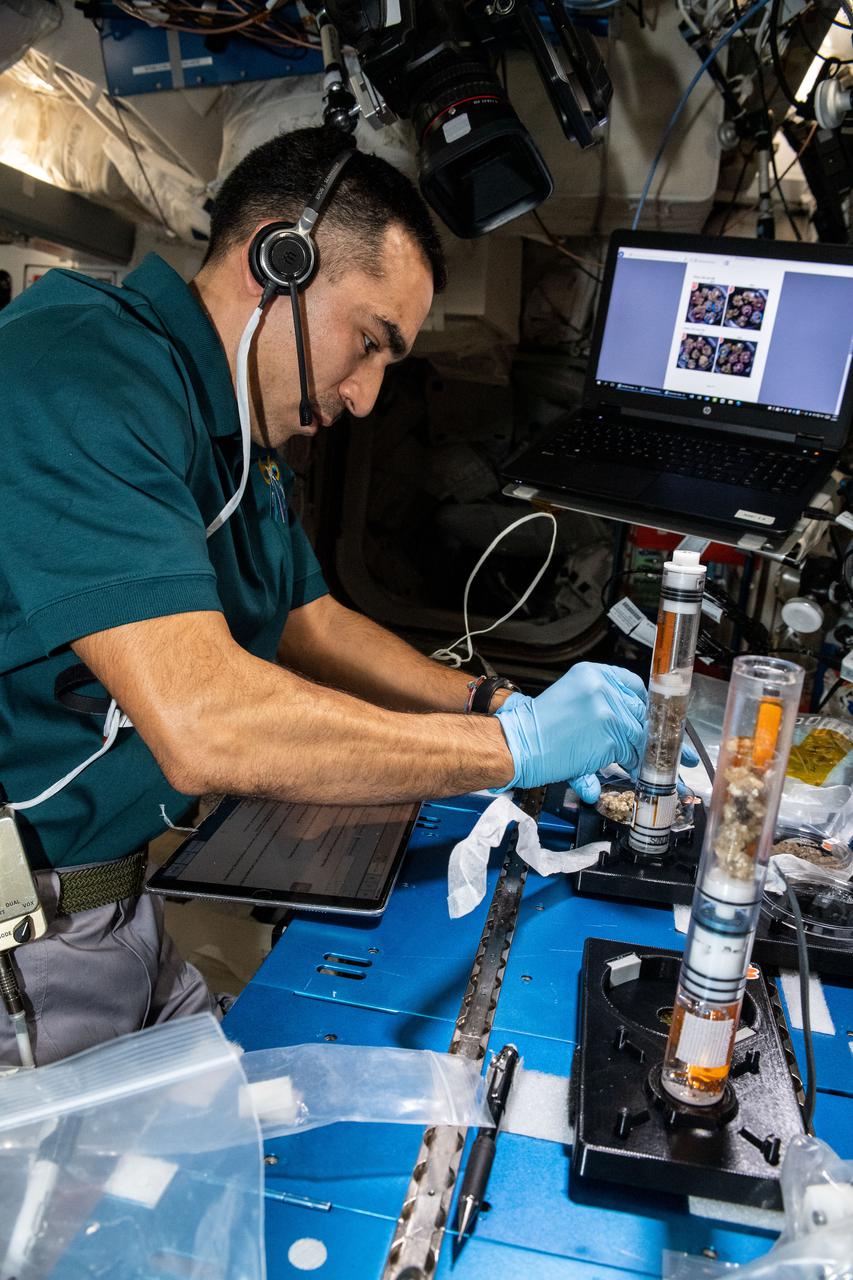 iss066e184146 (March 28, 2022) --- NASA astronaut and Expedition 66 Flight Engineer Raja Chari performs the final harvest of cotton cell cultures as part of the Plant Habitat-05 investigation (PH-05). The space agriculture study explored genetic expression in cotton cell cultures to learn more about the process of plant regeneration, potentially improving crop production on Earth.