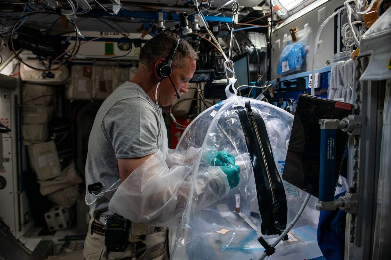 iss067e034722 (May 4, 2022) --- NASA astronaut and Expedition 67 Flight Engineer Bob Hines works inside the portable glovebag processing biological samples for the Food Physiology study. The human research experiment aims to define targeted, more efficient dietary interventions to maintain crew health and performance as well as the food system requirements to support these interventions.