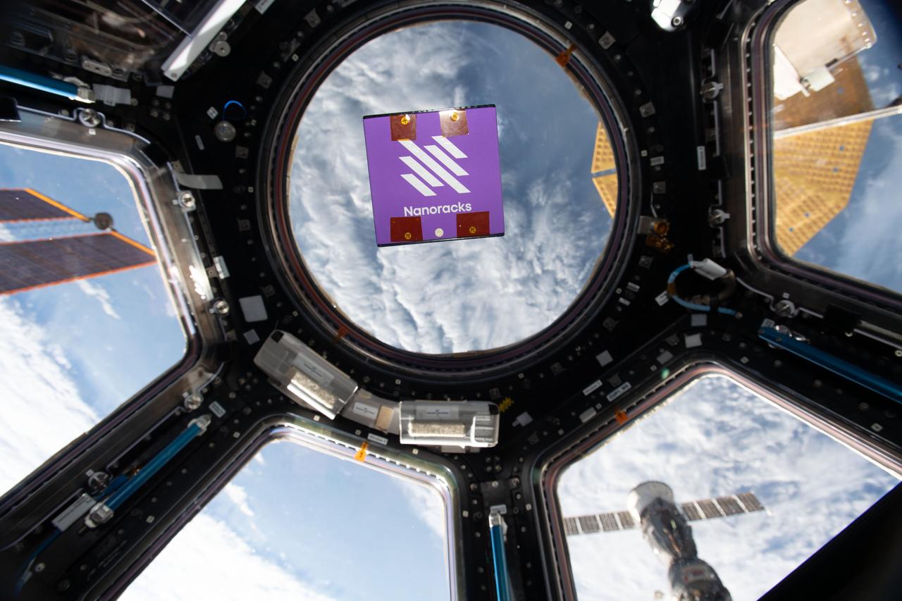 iss067e066371 (5/23/2022) --- A view of the RadPC-AI investigation shown in the cupola module aboard the International Space Station (ISS). This investigation tests how well RadPC executes the AI algorithms in addition to how well the AI algorithms run on this type of computer technology.