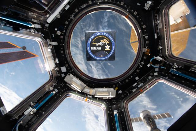 NASA image: iss067e066374