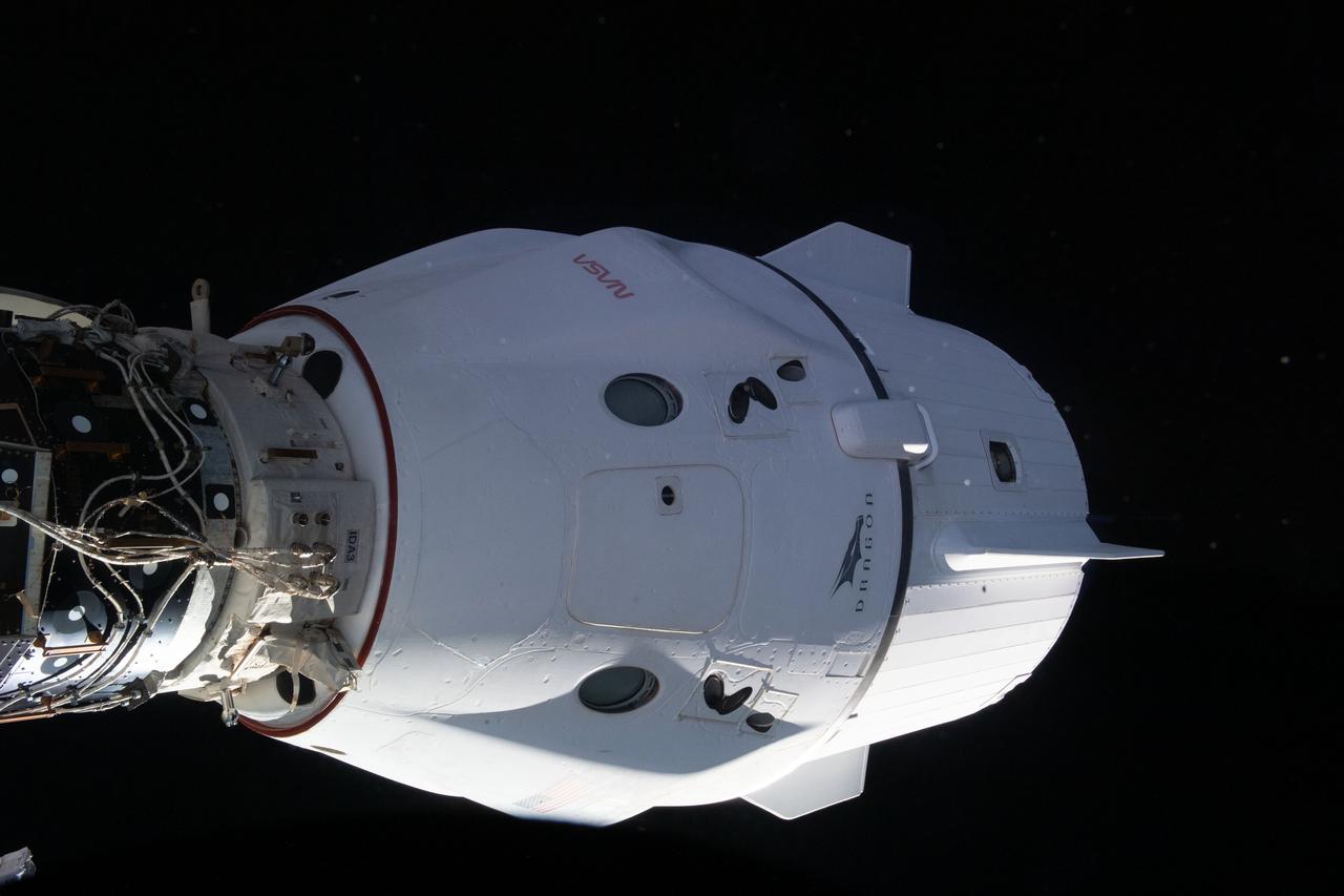 iss067e066884 (May 21, 2022) --- The SpaceX Dragon Freedom crew ship, that delivered four Crew-4 astronauts to the International Space Station, is pictured docked to the Harmony module's space-facing port.