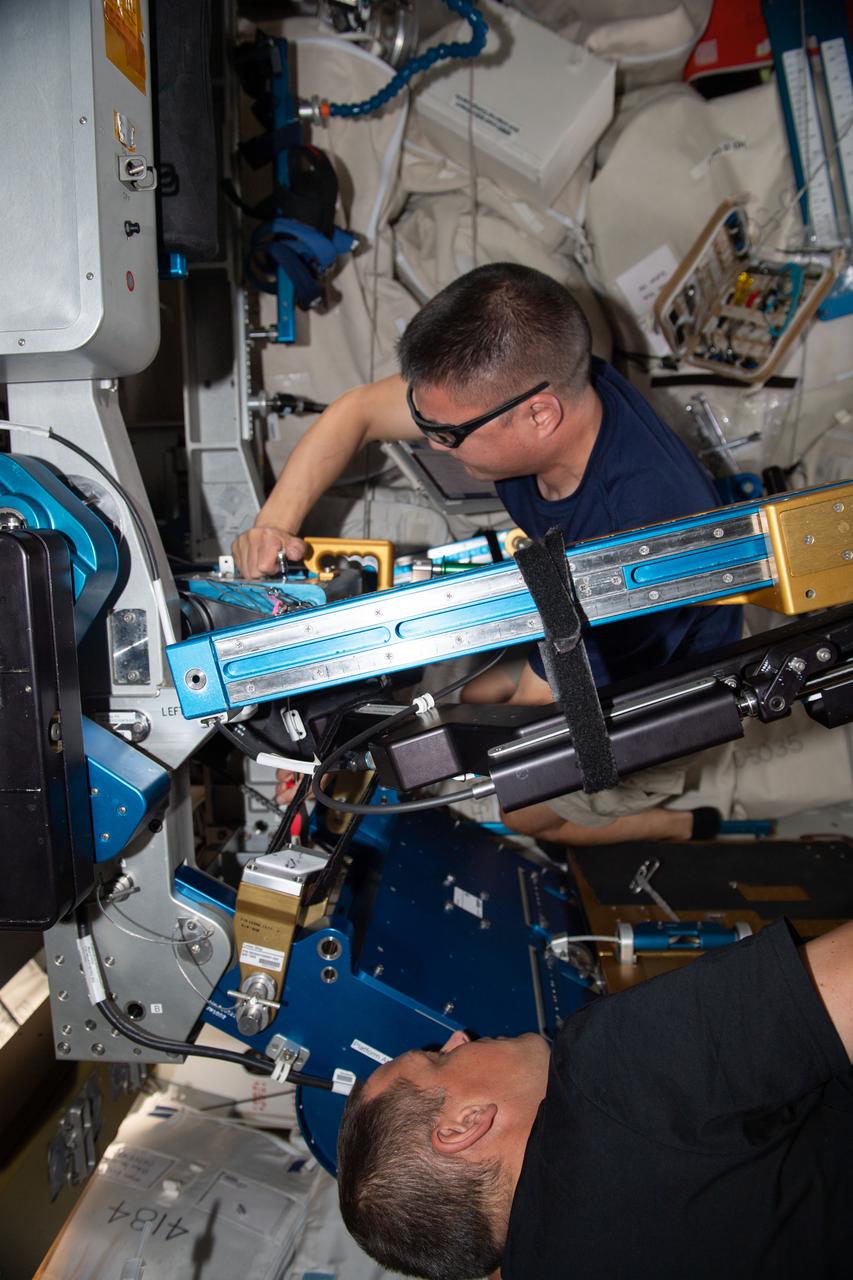 iss067e120164 (June 8, 2022) --- Expedition 67 Flight Engineers (from bottom) Bob Hines and Kjell Lindgren, both NASA astronauts, replace components on the advanced resistive exercise device (ARED) located inside the International Space Station's Tranquility module. The ARED mimics the inertial forces generated when lifting free weights on Earth allowing astronauts to maintain muscle strength and mass during long-term space missions.