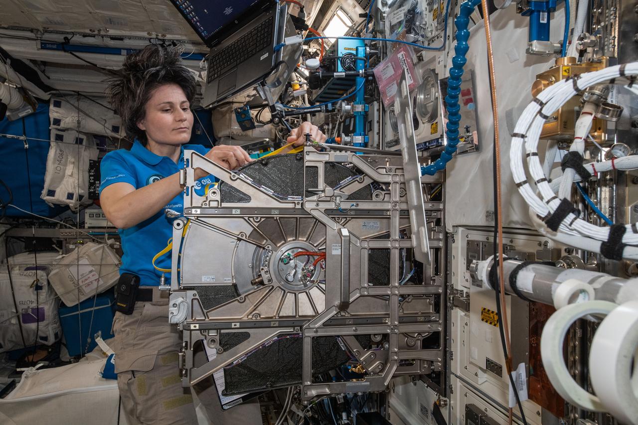 iss067e148954 (June 23, 2022) --- ESA (European Space Agency) astronaut and Expedition 67 Flight Engineer Samantha Cristoforetti replaces centrifuge components inside the Columbus laboratory module's BioLab, a research facility that studies the effects of space and radiation on single celled and multi-cellular organisms