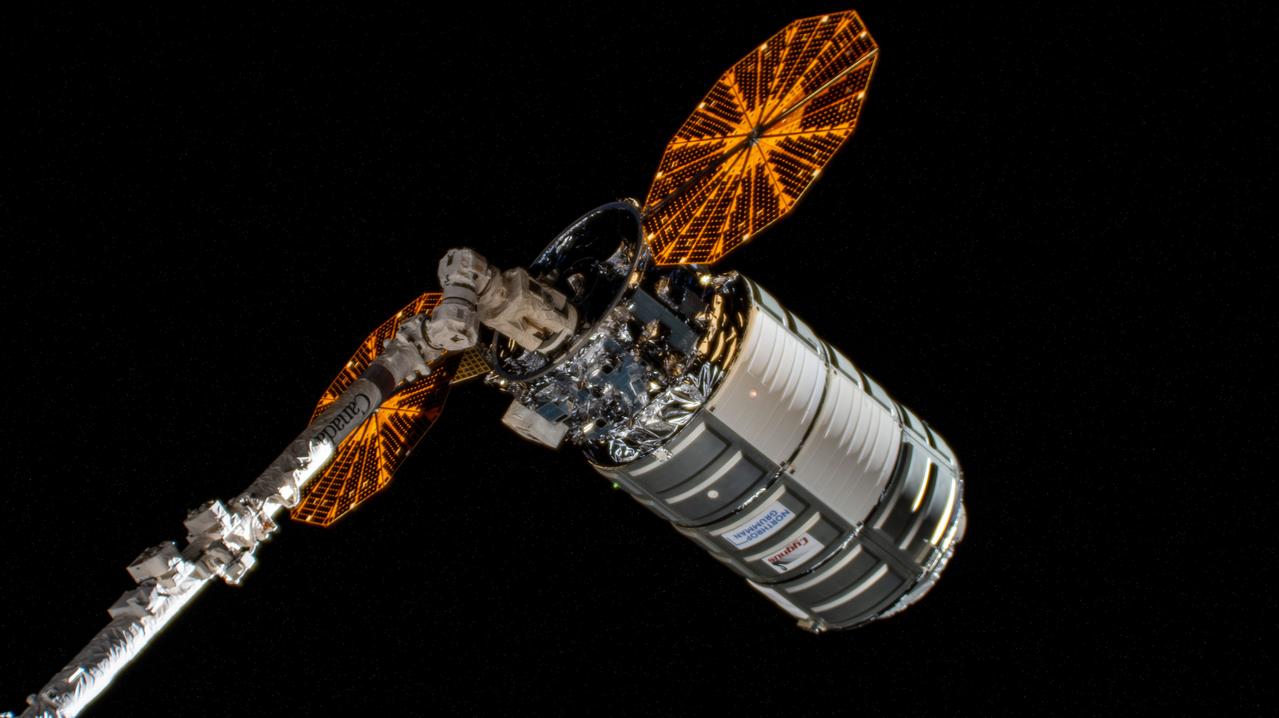 iss067e156136 (July 28, 2022) --- Northrop Grumman's Cygnus space freighter is positioned away from the International Space Station in the grips of the Canadarm2 robotic arm prior to its release ending a four-month stay attached to the orbiting lab's Unity module.