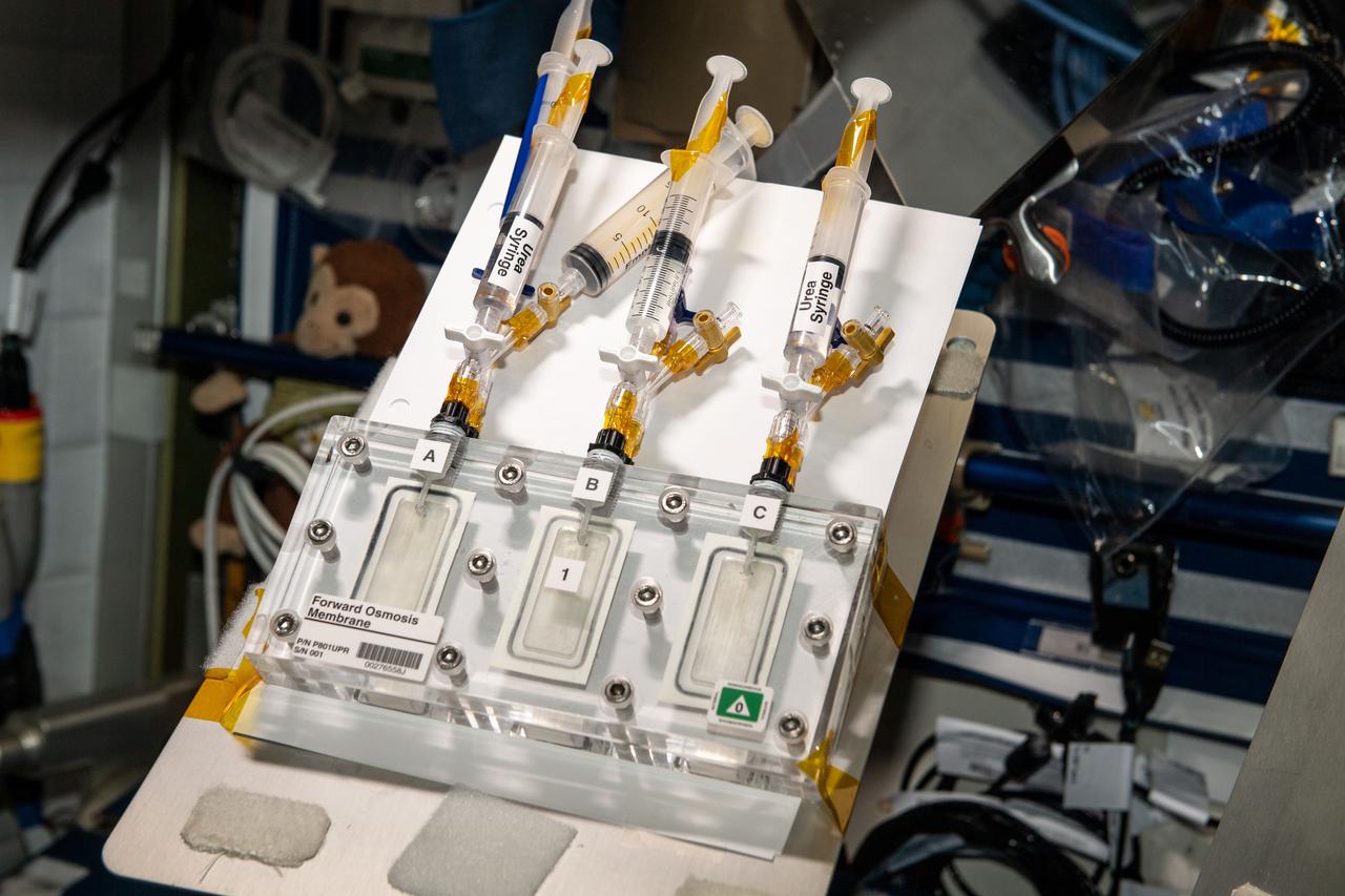 iss067e190000 (7/19/2022) --- A view of the 3 Forward Osmosis Membrane membrane cells with the solution syringes attached. Assessing the Performance of Urease-phospholipid Reactive Forward Osmosis Membranes for Water Reclamation Aboard the ISS (Forward Osmosis Membrane) tests reactive membranes for water reclamation in microgravity as compared to 1g on Earth.