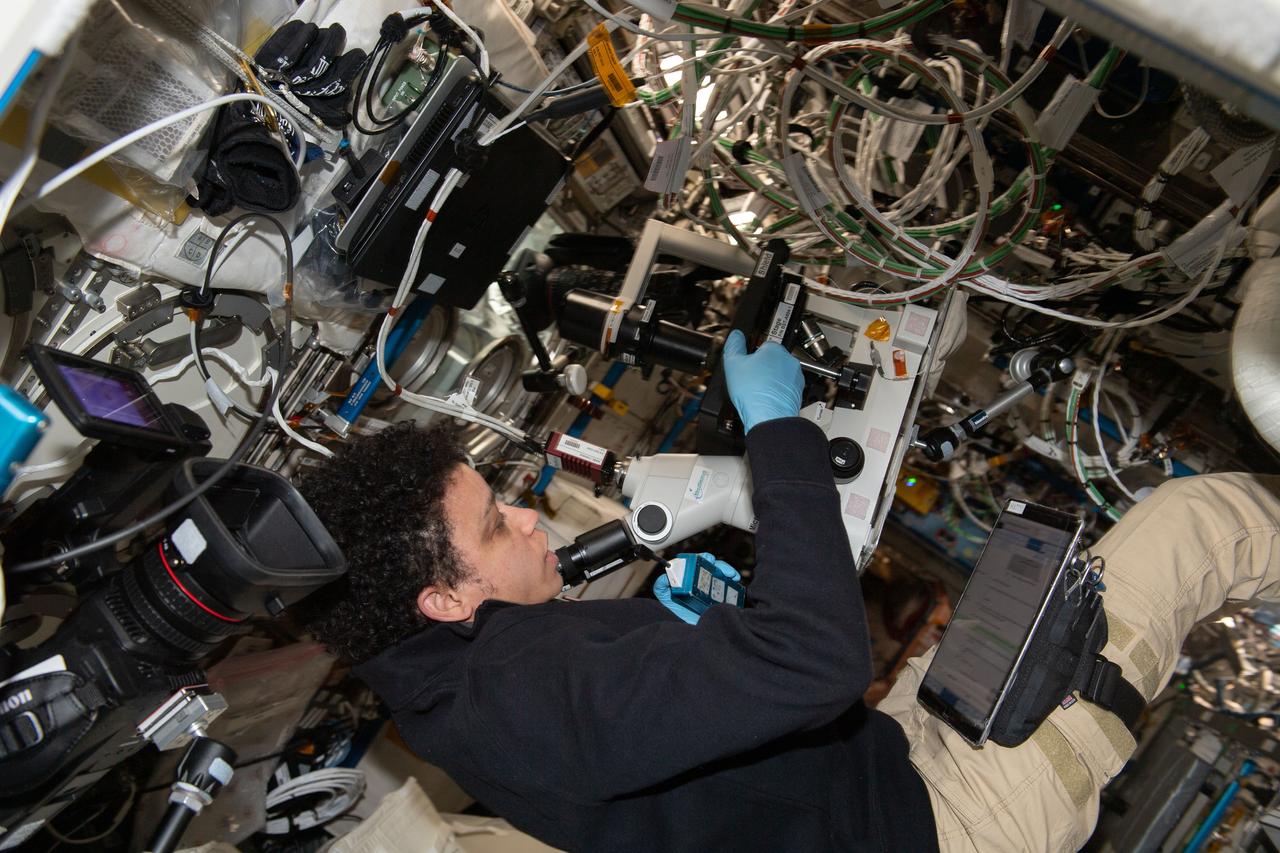 iss067e190689 (July 20, 2022) --- Expedition 67 Flight Engineer and NASA astronaut Jessica Watkins sets up cell samples for viewing in a microscope for the Immunosenescence space biology study. The investigation studies the immunological aging of cells that takes place in microgravity to learn how to keep astronauts healthy on long term missions and treat immunity conditions on Earth.