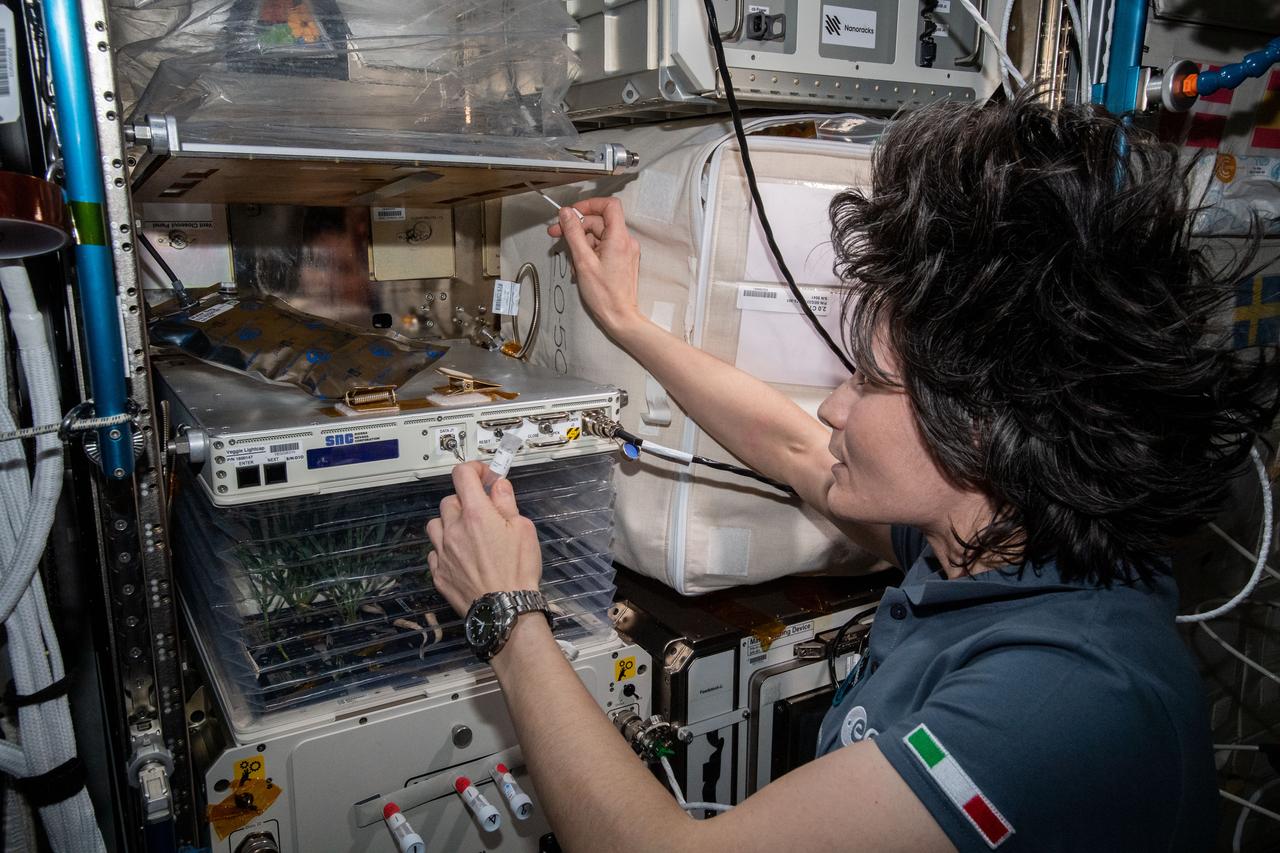 iss067e340959 (Sept. 8, 2022) --- Expedition 67 Flight Engineer Samantha Cristoforetti from ESA (European Space Agency) collects microbe samples from around the Veggie space botany facility in the International Space Station's Columbus laboratory module for analysis.