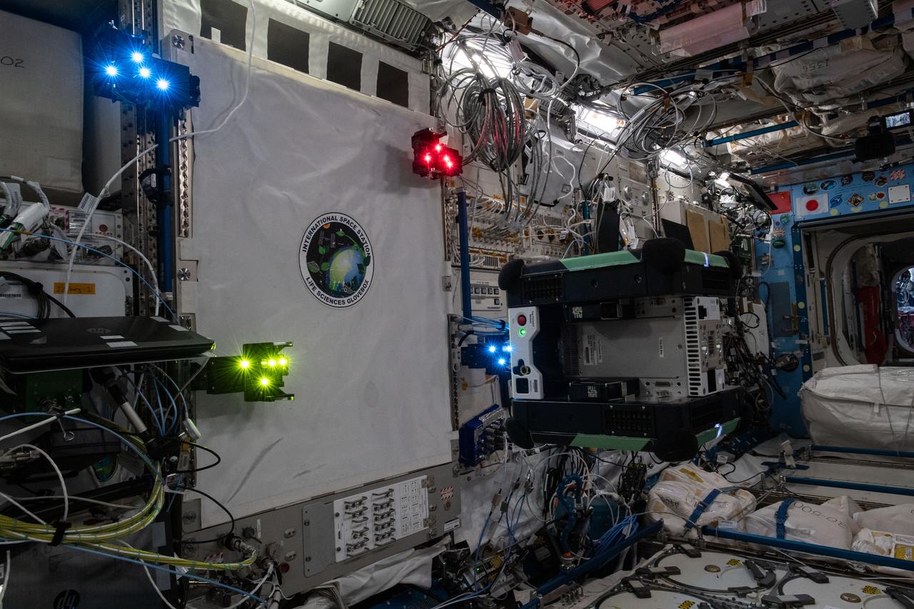 Documentation of a free-flying Astrobee robot (Queen), equipped with an LED Target for the Smartphone Video Guidance Sensor (SVGS) experiment, during SVGS science 3 session. Four SVGS LED Targets are attached to the Life Sciences Glovebox (LSG) rack, JPM1F5 in the Kibo Japanese Experiment Module (JEM).