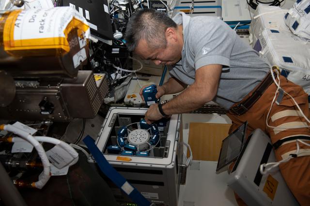 NASA image: Antioxidant Protection Experiment Container Deinstallation