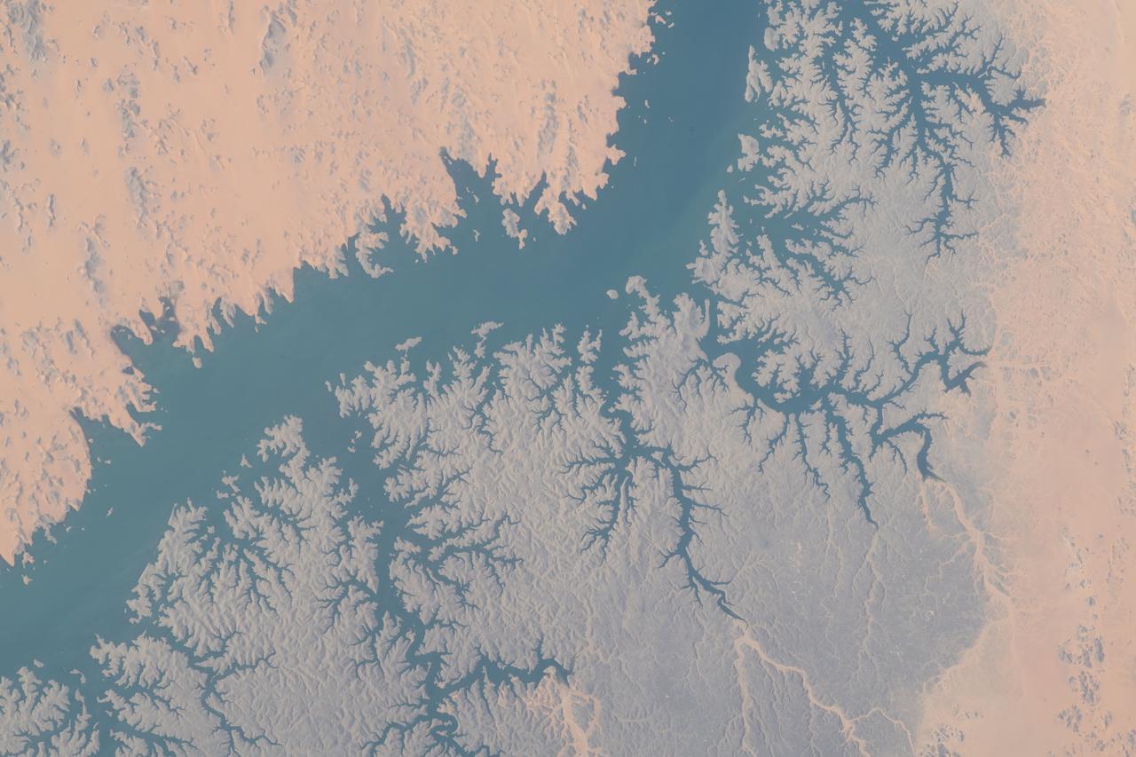 iss069e004011 (April 18, 2023) --- This portion of Lake Nasser in southern Egypt was pictured by NASA astronaut and Expedition 69 Flight Engineer Woody Hoburg as the International Space Station orbited 258 miles above.