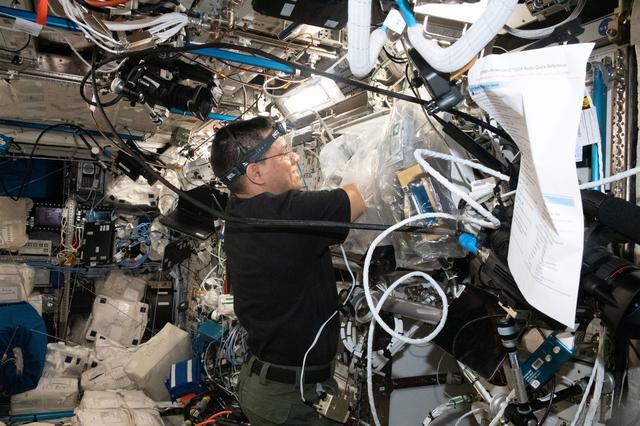 NASA image: Astronaut Frank Rubio works on a 3D bioprinter