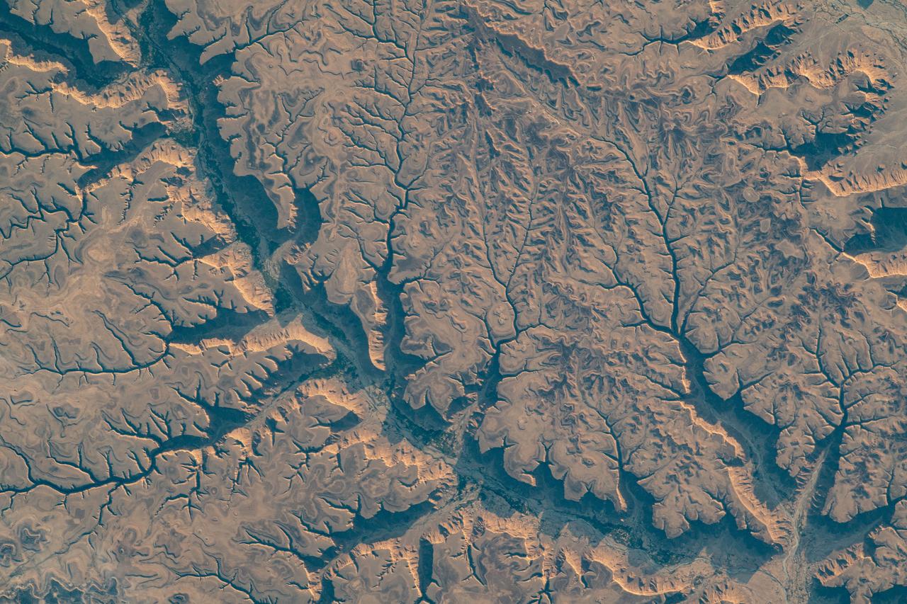 iss069e010858 (May 16, 2023) --- Wadis, or river valleys that are dry in winter months, in Yemen were pictured by UAE (United Arab Emirates) astronaut and Expedition 69 Flight Engineer Sultan Alneyadi from the International Space Station as it orbited 256 miles above.