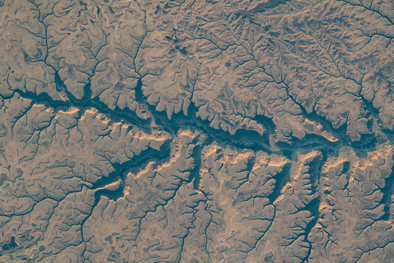 iss069e010860 (May 16, 2023) --- Wadis, or river valleys that are dry in winter months, in Yemen were pictured by UAE (United Arab Emirates) astronaut and Expedition 69 Flight Engineer Sultan Alneyadi from the International Space Station as it orbited 256 miles above.
