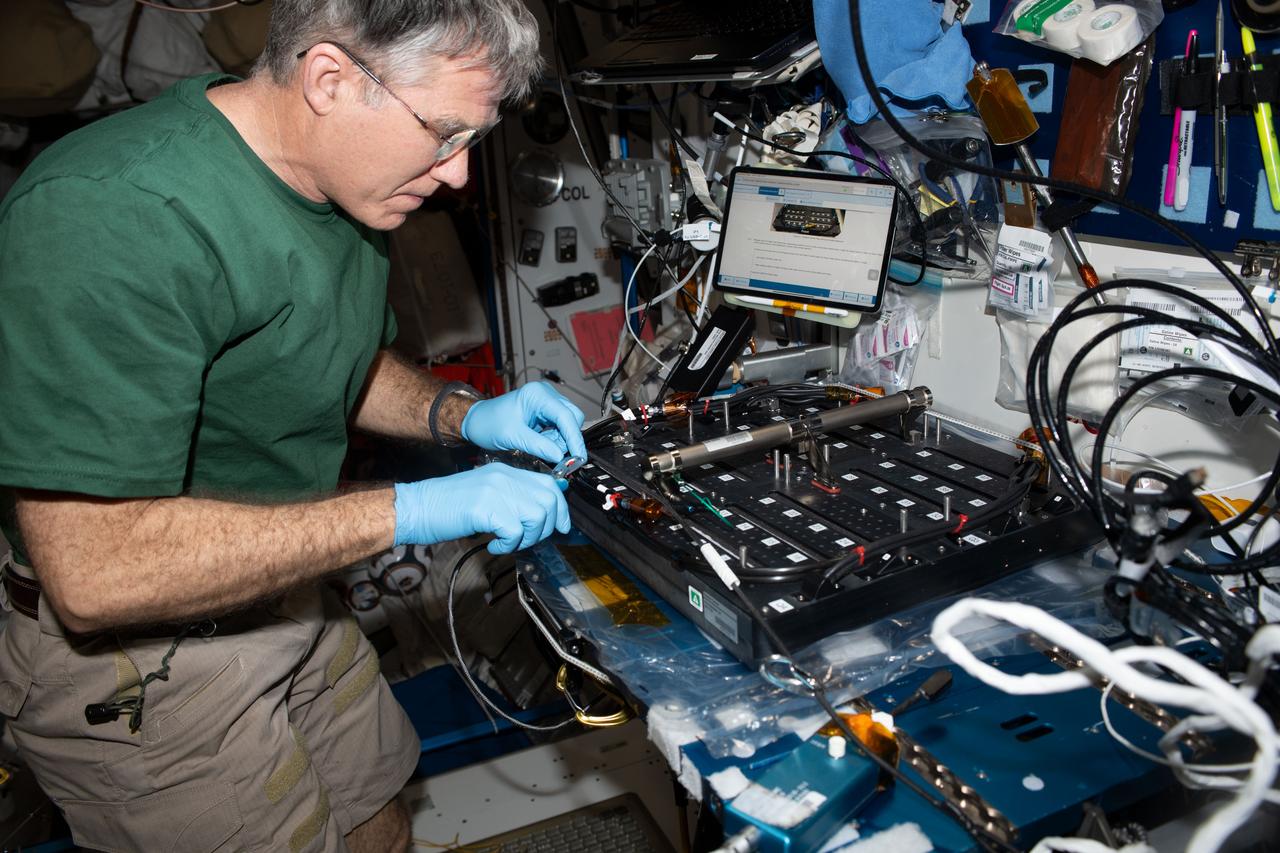iss069e030677 (July 10, 2023) --- NASA astronaut and Expedition 69 Flight Engineer Stephen Bowen works on the Plant Habitat-03B Science Carrier, a space botany research device, in the International Space Station's Harmony module. The Plant Habitat-03 investigation explores how space-caused DNA changes are transferred from one generation of plants to the next and then continue to accumulate or stabilize. This could provide insight into how to grow repeated generations of crops to provide food and other services on future space missions.