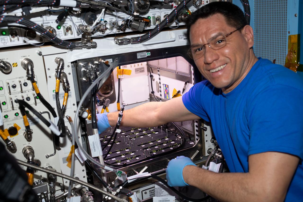 iss069e036839 (July 25, 2023) -- NASA astronaut and Expedition 69 Flight Engineer Frank Rubio works on thinning Arabidopsis seedlings in Plant Habitat-03 aboard the International Space Station. Rubio is thinning the sprouts to retain a singular healthy plant per unit as the crew continues ongoing investigations of assessing whether adaptations in one generation of plants grown in space can transfer to the next.