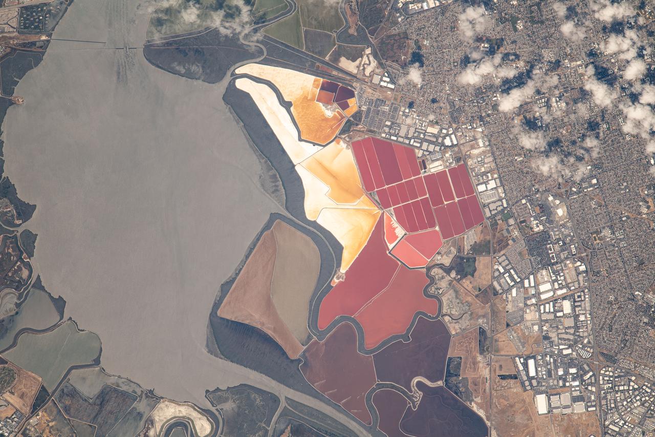 iss069e053745 (August 3, 2023) -- The South Bay Salt Ponds in the city of Newark, California show their vivid red and yellow-orange colors that primarily come from the microorganisms and brine shrimp in the waters. More than 16,500 acres are part of a restoration project— the largest in the West Coast—that includes pollution reduction, habitat expansion, and flood control. Expedition 69 Flight Engineer Woody Hoburg captured this image as the International Space Station orbited 260 miles above the coast of the Bay Area.
