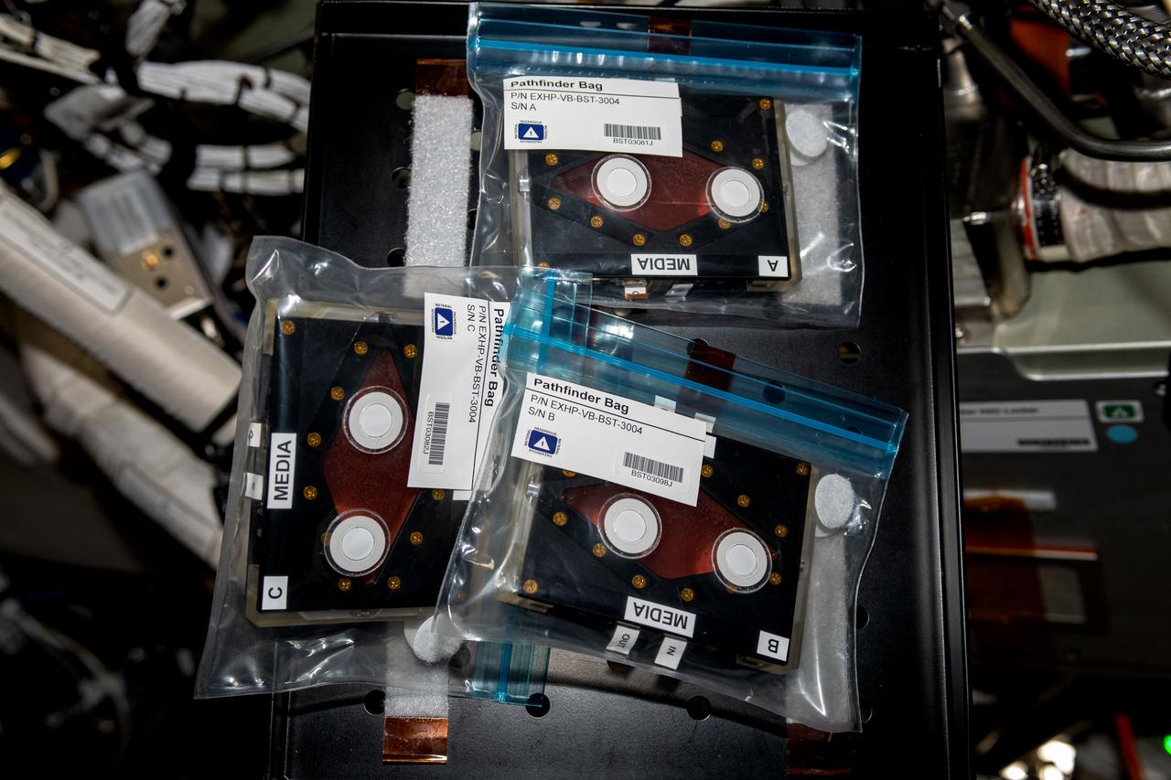 iss069e054973 (8/8/2023) --- A view of the StemCellEX-H Pathfinder sample cassettes aboard the International space Station (ISS). Hematopoietic Stem Cell Expansion in Space: Pathfinder Investigation (StemCellEX-H Pathfinder) tests methods for producing human hematopoietic stem cells in space.