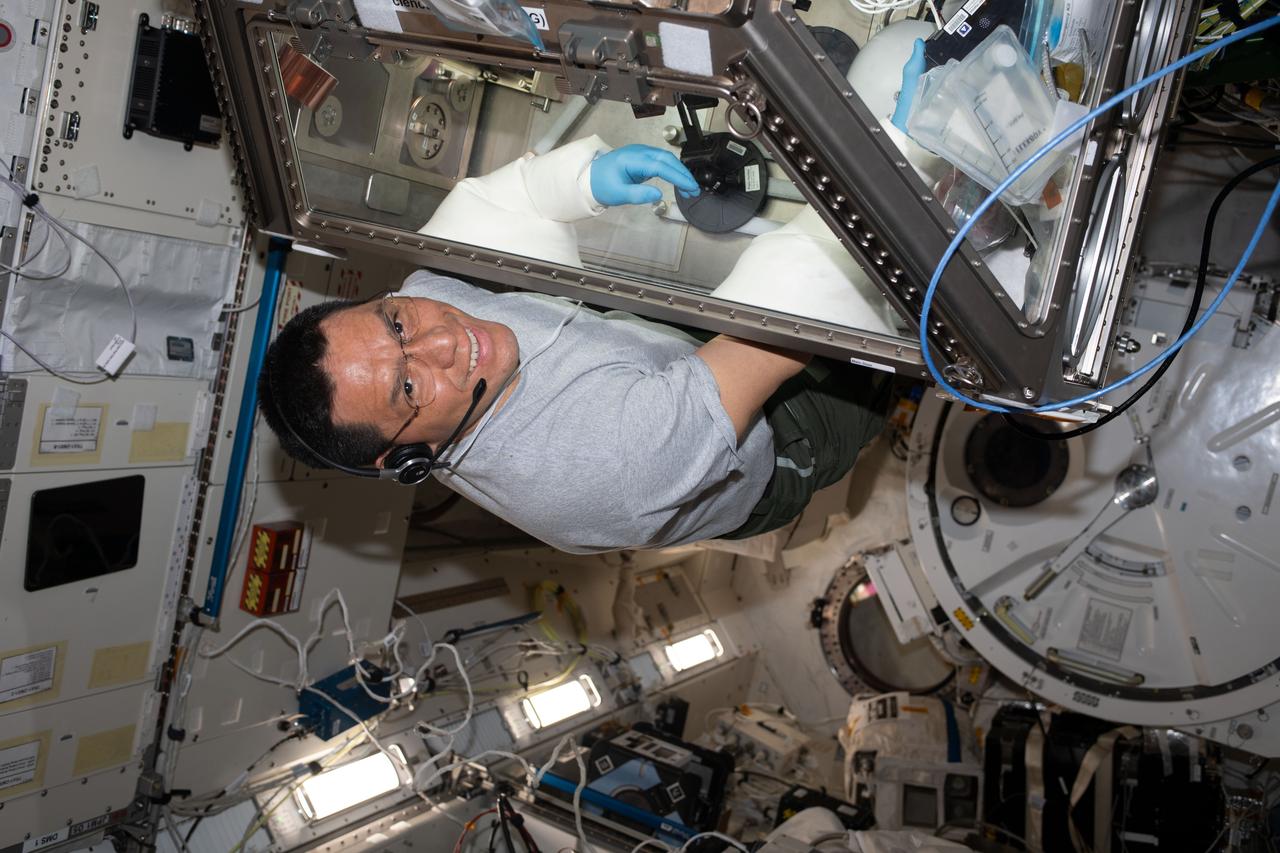 iss069e055093 (Aug. 8, 2023) --- NASA astronaut and Expedition 69 Flight Engineer Frank Rubio works in the Kibo laboratory module's Life Sciences Glovebox servicing stem cell samples for the StemCellEX-H Pathfinder study. The biotechnology investigation seeks to improve therapies for blood diseases and cancers such as leukemia.