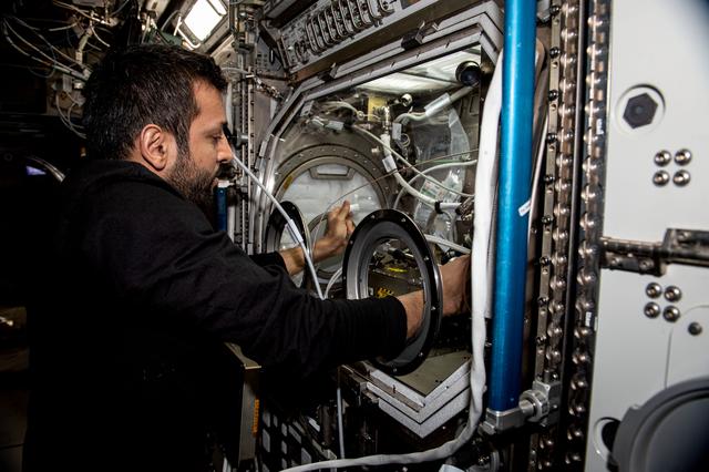 NASA image: iss069e056648