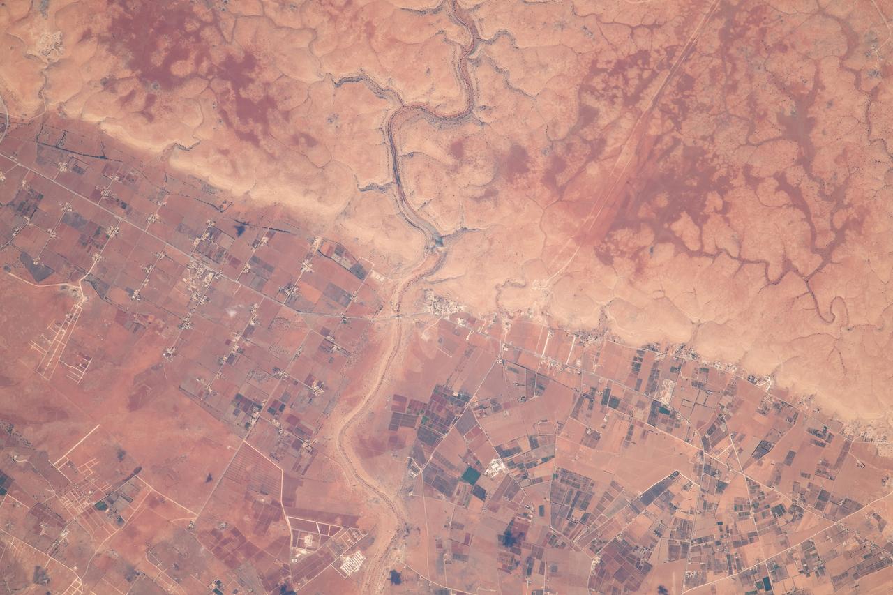 iss069e061443 (Aug. 17, 2023) --- Wadi al Qattarah, containing an agricultural zone, grazing land, and a dam, is located southeast of Benghazi, Libya, in this photograph from the International Space Station as it orbited 263 miles above the Mediterranean Sea.