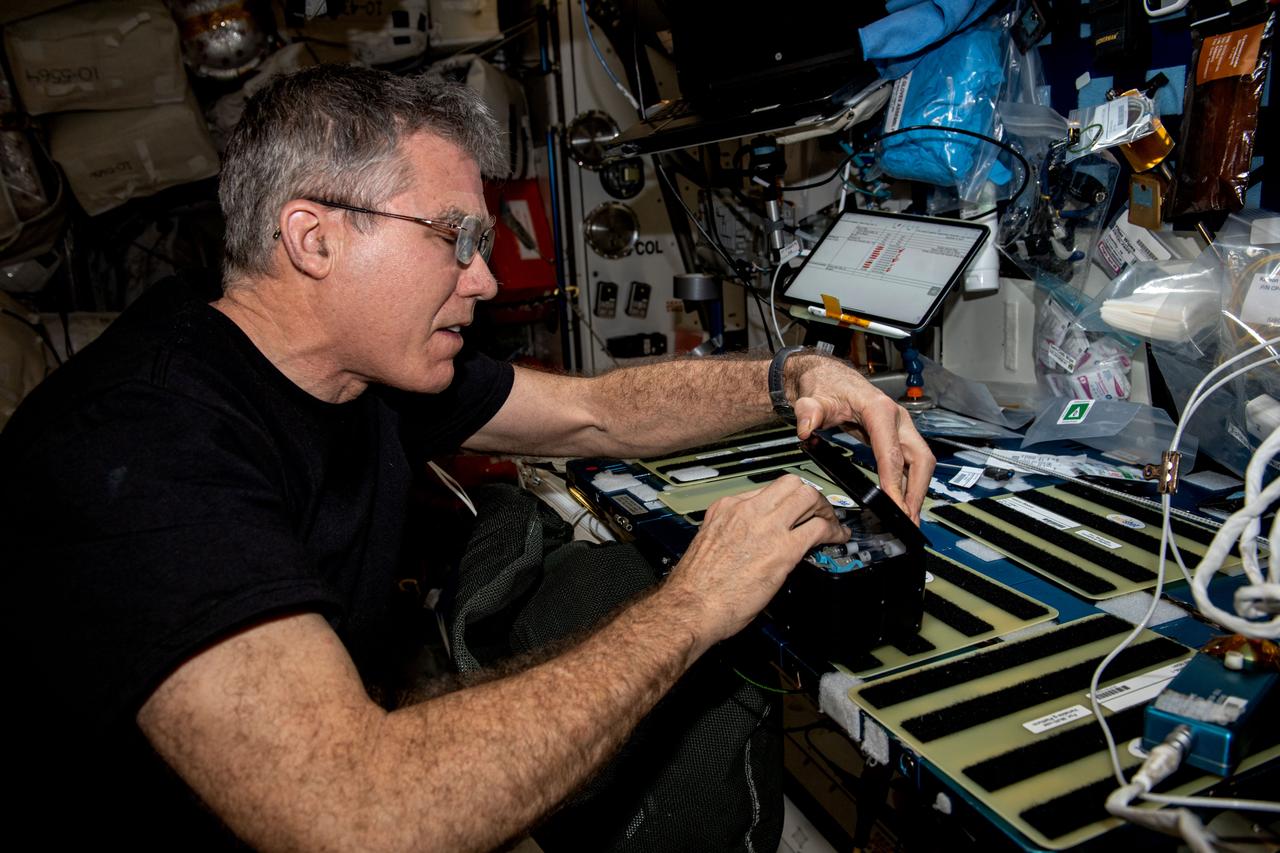 iss069e062389 (Aug. 18, 2023) --- NASA astronaut and Expedition 69 Flight Engineer Stephen Bowen works on space biology research hardware located inside the International Space Station's Kibo laboratory module.