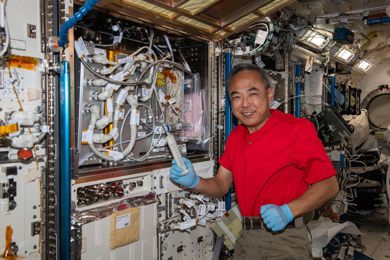 iss069e091003 (Sept. 21, 2023) --- JAXA (Japan Aerospace Exploration Agency) astronaut and Expedition 69 Flight Engineer Satoshi Furukawa works on the Kibo laboratory module's water recovery system aboard the International Space Station.