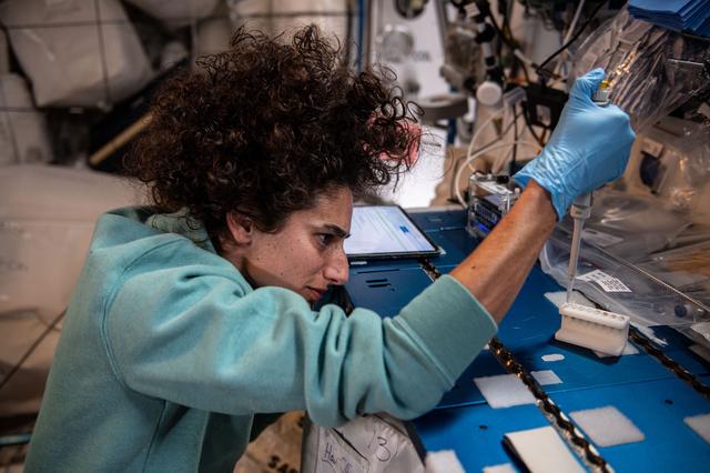 NASA image: iss070e005393