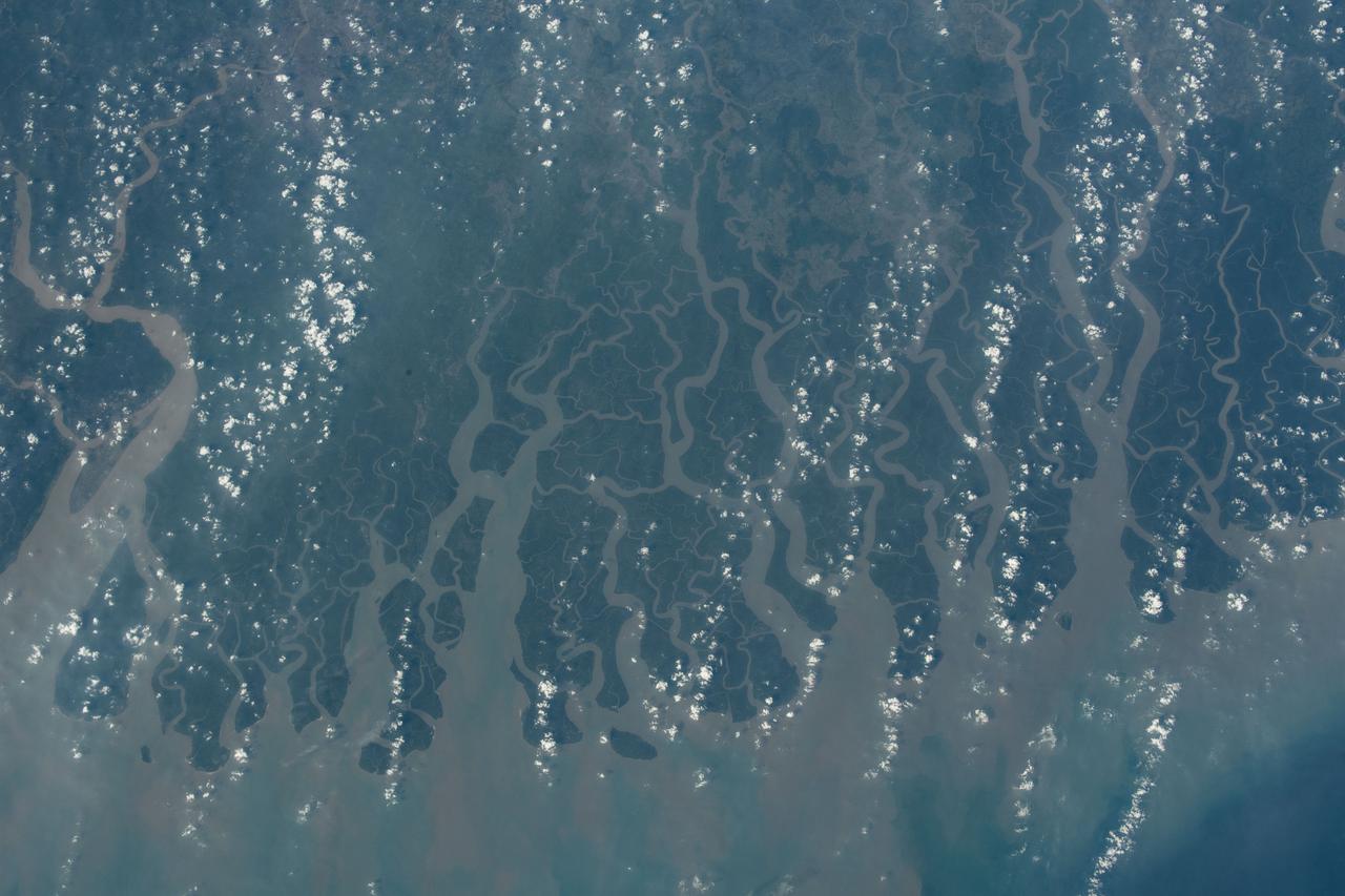 iss070e005997 (Oct. 19, 2023) --- India and Bangladesh border along the Sundarban National Park, a tiger reserve and mangrove forest, in this photograph from the International Space Station as it orbited 257 miles above the Bay of Bengal.