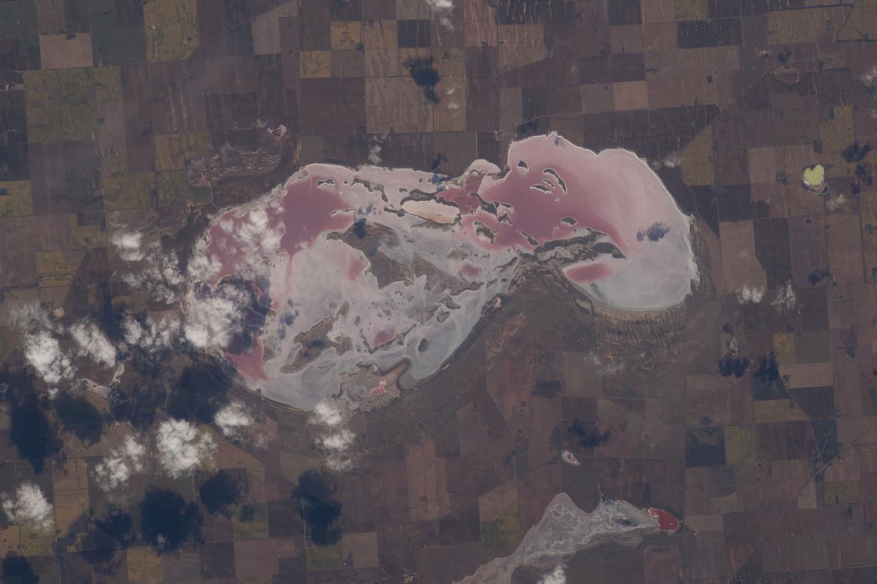 iss070e008872 (Oct. 24, 2023) --- Lake Tyrell, the largest salt lake in the Australian province of Victoria, is pictured from the International Space Station as it orbited 266 miles above.