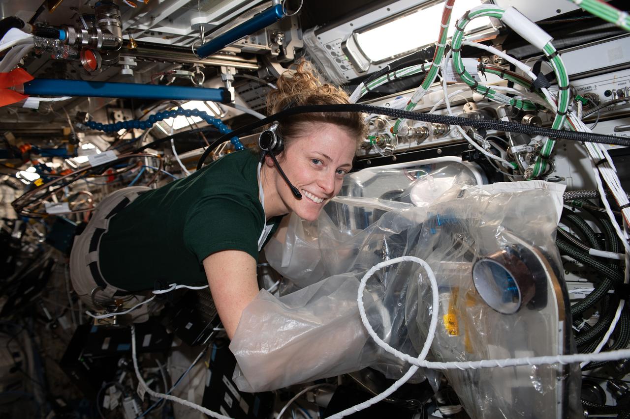 iss070e023971 (Nov. 13, 2023) --- NASA astronaut and Expedition 70 Flight Engineer Loral O'Hara uses a portable glovebag to replace components on a biological printer, the BioFabrication Facility (BFF), that is testing the printing of organ-like tissues in microgravity.