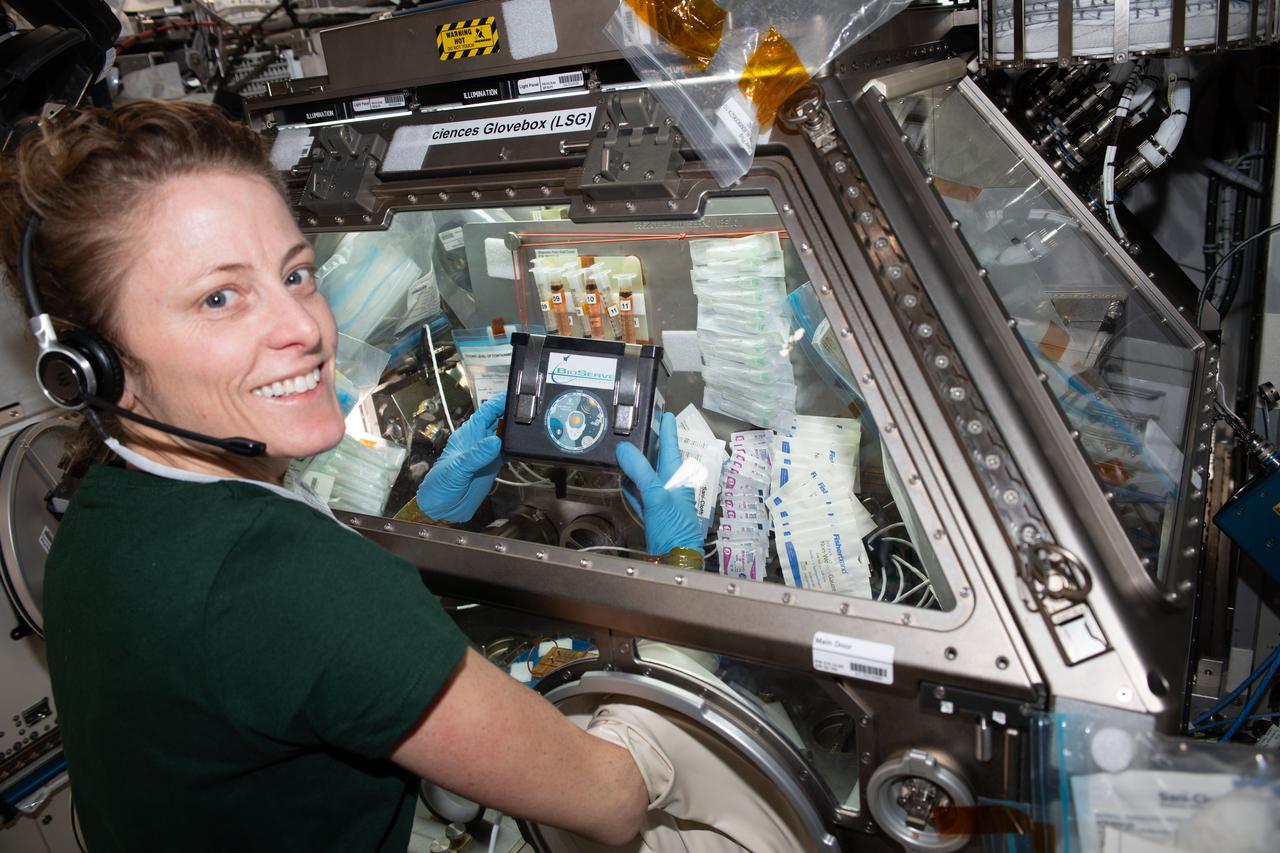 iss070e024859 (Nov. 14, 2023) --- NASA astronaut and Expedition 70 Flight Engineer Lora O'Hara treats brain cell-like samples inside the Kibo laboratory module's Life Science Glovebox aboard the International Space Station. She was processing the samples for the Cerebral Ageing space biology study that is exploring the degenerative processes of brain cells. Results may provide insights into accelerated ageing symptoms seen in space and neurodegenerative diseases experienced on Earth.
