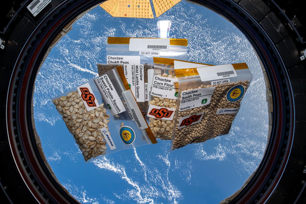 iss070e028324 (Nov. 21, 2023) --- Five varieties of seeds provided by the Choctaw Nation of Oklahoma are pictured inside the cupola as the International Space Station orbited 260 miles above the Atlantic Ocean. The seeds are exposed to microgravity for several months then returned to Earth and planted next to the same seeds left on Earth for comparison. The space botany experiment is promoting STEM (Science, Technology, Engineering, and Math) education among tribal members.