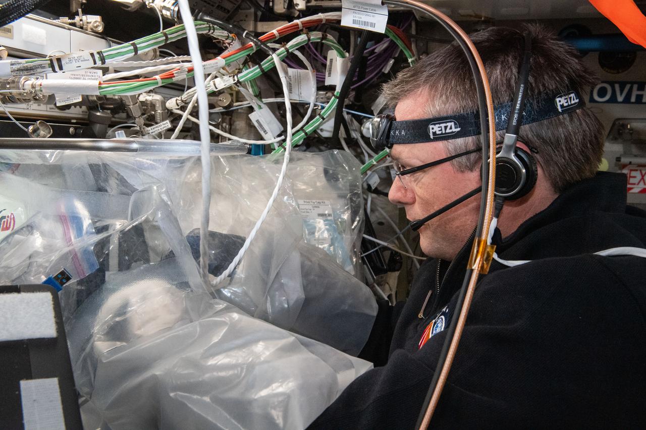 iss070e034130 (Nov. 30, 2023) --- ESA (European Space Agency) astronaut and Expedition 70 Commander Andreas Mogensen uses a portable glovebag and prints cardiac cells using the BioFabrication Facility that is demonstrating printing organ-like tissues in microgravity.