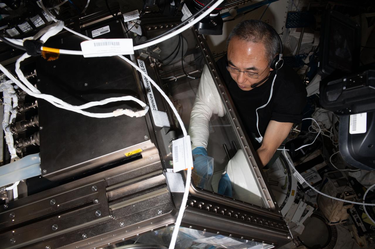 iss070e035116 (Dec. 1, 2023) --- JAXA (Japan Aerospace Exploration Agency) astronaut and Expedition 70 Flight Engineer Satoshi Furukawa works in the Kibo laboratory module's Life Science Glovebox extracting DNA samples for the new uTitan investigation. The technology demonstration is exploring a method for automated nucleic acid extraction in microgravity and may inform DNA sample processing and sequencing techniques on spacecraft and remote locations on Earth.