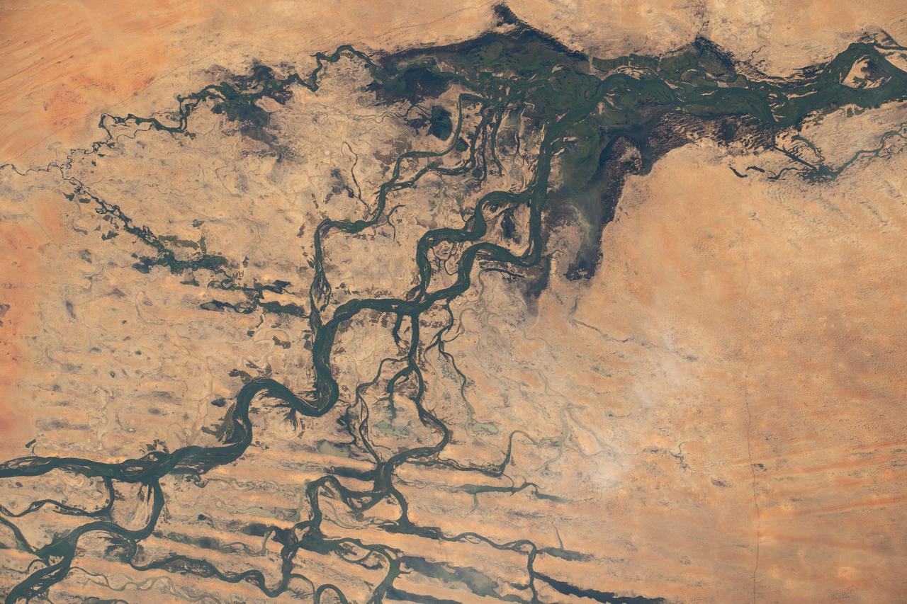 iss070e035884 (Dec. 4, 2023) --- The Niger River, near the city of Timbuktu in the African nation of Mali, is pictured from the International Space Station as it orbited 258 miles above.