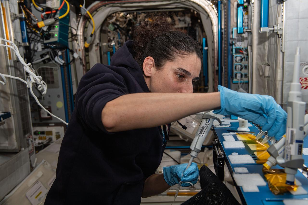 iss070e062919 (Jan. 11, 2024) --- NASA astronaut and Expedition 70 Flight Engineer Jasmin Moghbeli sequences DNA samples for the BioMole study demonstrating hardware that can analyze microbes to protect crew health and spacecraft life support systems.