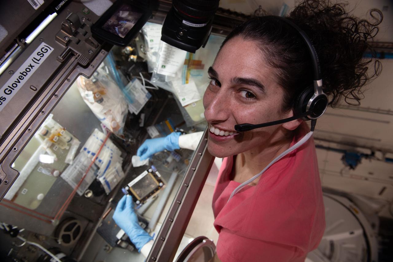 iss070e086287 (Feb. 3, 2024) --- NASA astronaut and Expedition 70 Flght Engineer Jasmin Moghbeli works inside the Life Science Glovebox for the Microgravity Associated Bone Loss-A investigation. She was processing bone cell samples obtained from human donors on Earth and exploring space-caused bone loss. Results may help doctors learn how to protect and treat astronauts on long-term missions and inform treatments for bone conditions on Earth.