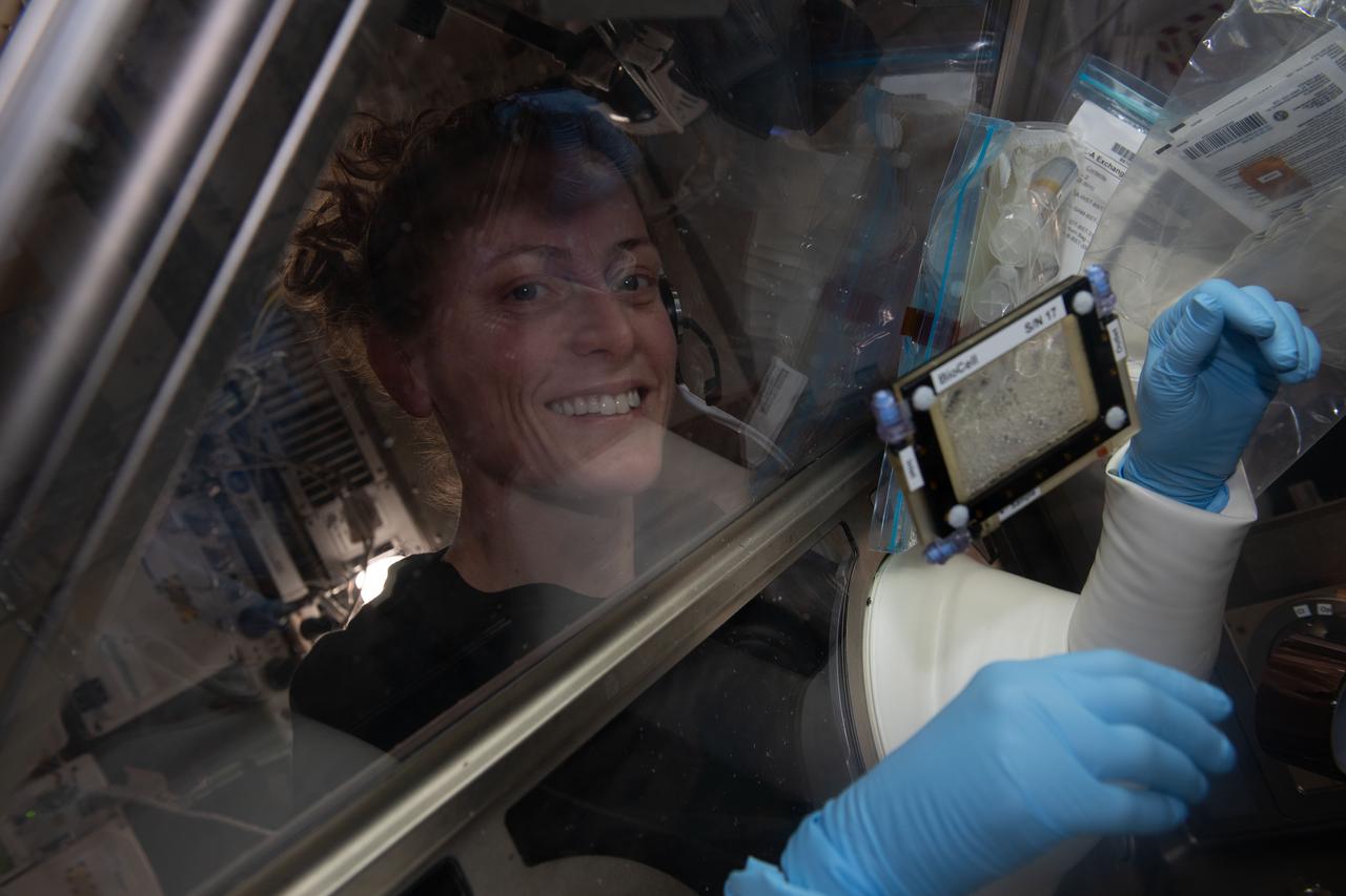 iss070e091759 (Feb. 12, 2024) --- NASA astronaut and Expedition 70 Flight Engineer Loral O'Hara works on a bone cell study inside the Life Science Glovebox located inside the International Space Station's Kibo laboratory module. O’Hara was working on the Microgravity Associated Bone Loss-A investigation that may provide a better understanding of space-caused bone loss and aging-related bone conditions on Earth.