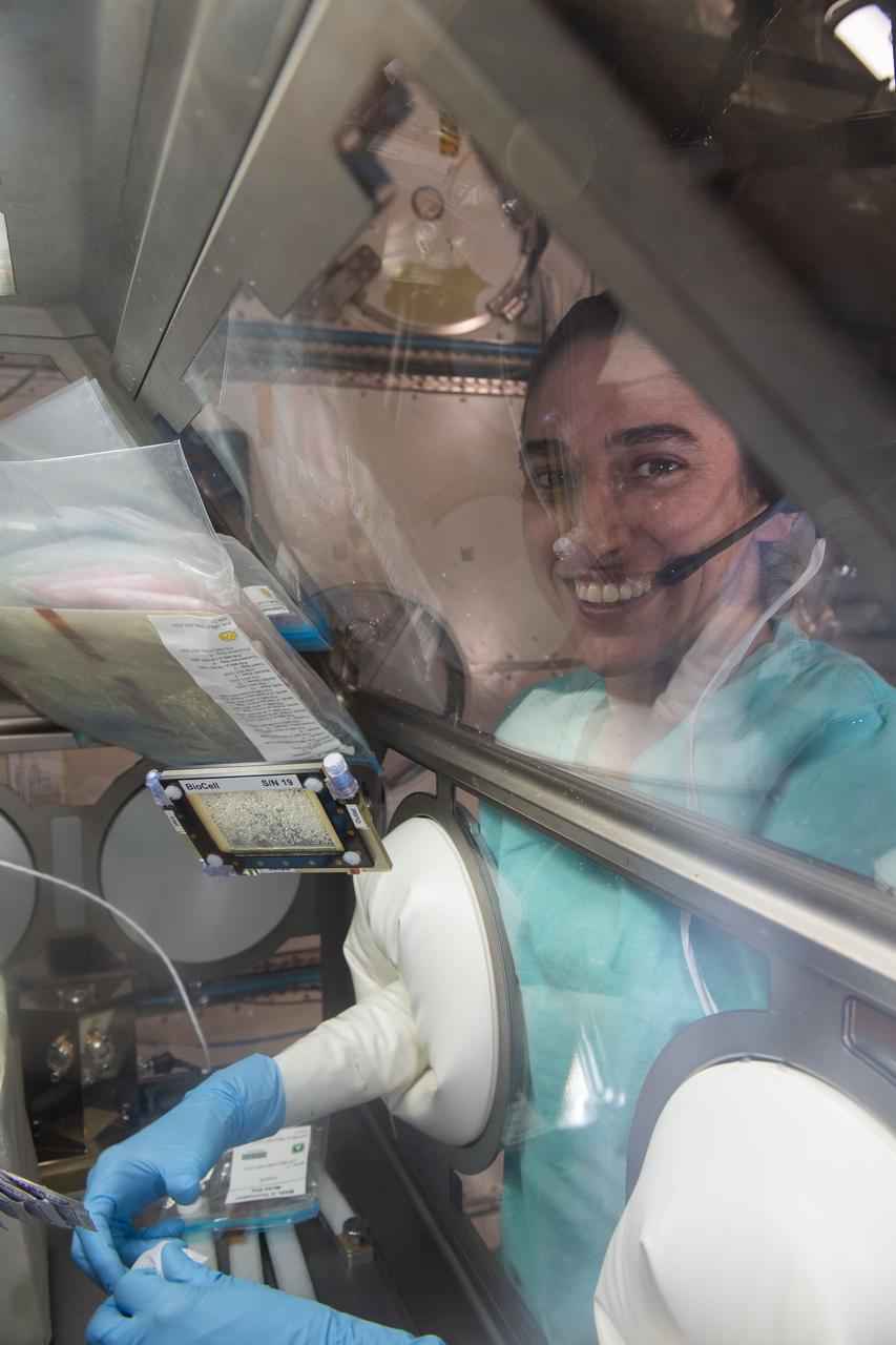 iss070e094541 (Feb. 16, 2024) --- NASA astronaut and Expedition 70 Flight Engineer Jasmin Moghbeli works on a bone cell study inside the Life Science Glovebox located inside the International Space Station's Kibo laboratory module. Moghbeli was working on the Microgravity Associated Bone Loss-A investigation that may provide a better understanding of space-caused bone loss and aging-related bone conditions on Earth.