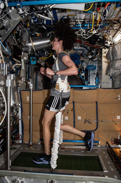 NASA image: Moghbeli exercises on the T2