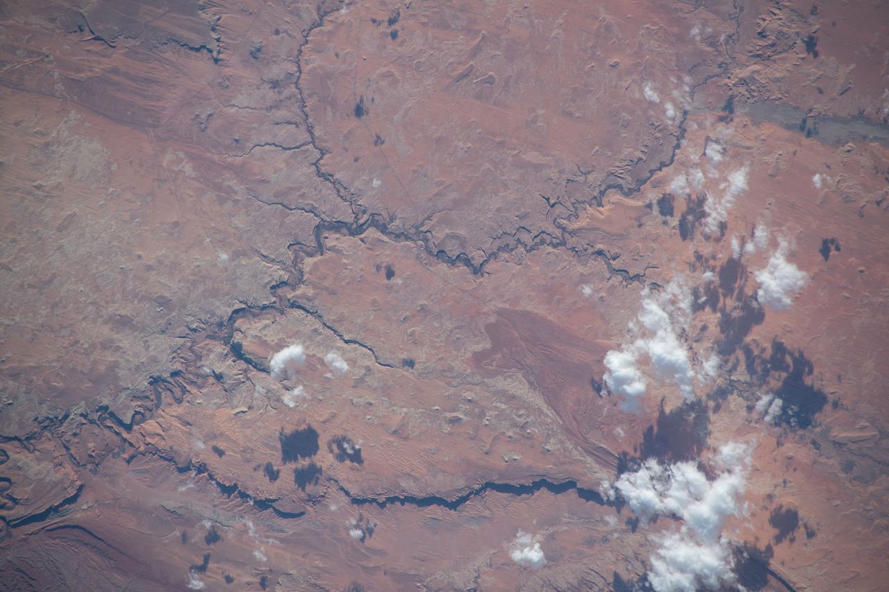 iss070e103247 (Feb. 27, 2024) --- Chinle Creek flows from Utah and splits into Walker Creek in Arizona northeast of Monument Vallery in Navajo Nation. The International Space Station was orbiting 264 miles above the southwestern United States in this photograph from Expedition 70 Flight Engineer Jasmin Moghbeli of NASA.