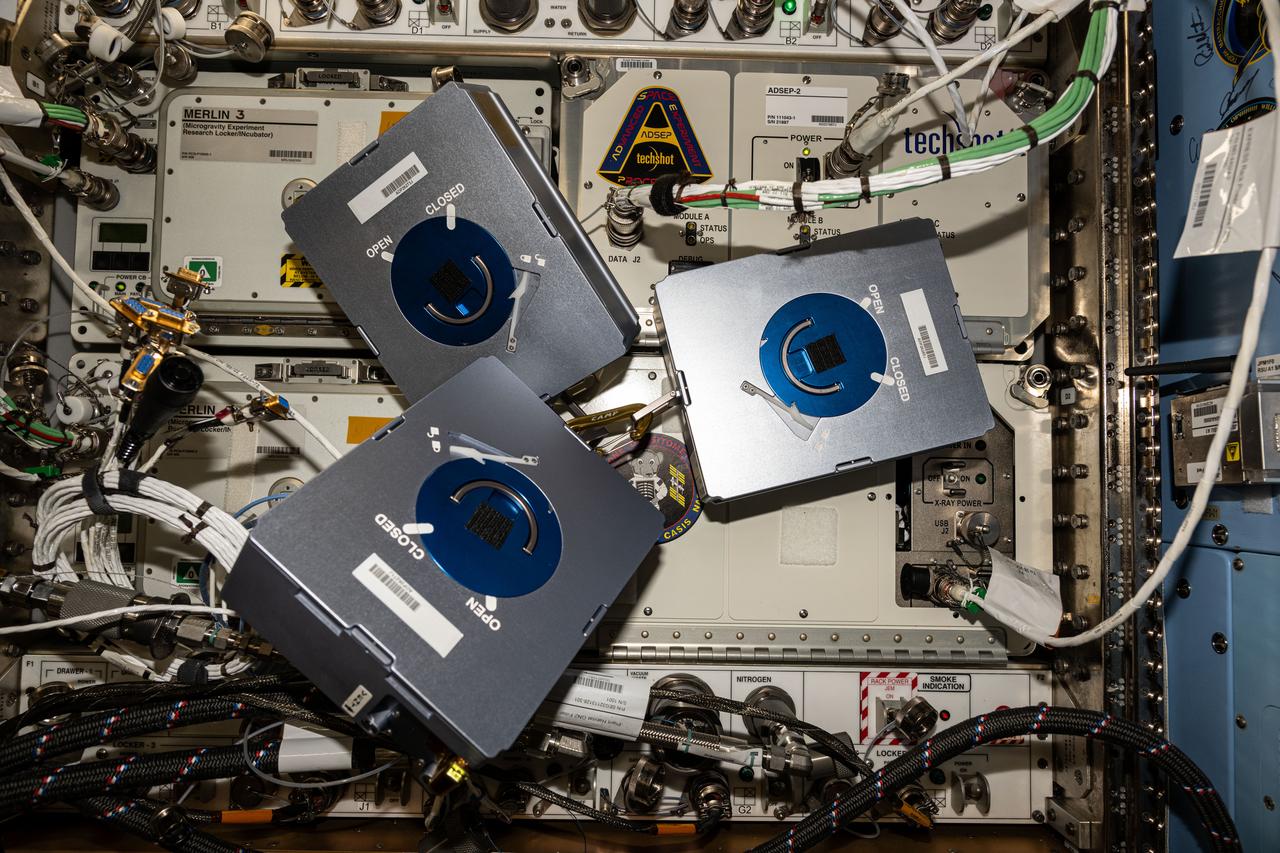 Documentation of three cassettes for the In-Space Production Application – Pharmaceutical In-space Laboratory – 02 (InSPA-PIL-02 or ADSEP-PIL-02) experiment removed from the ADSEP-2 (ADvanced Space Experiment Processor) for Fluid Loop replacement. Photo was taken in the Harmony Node 2.