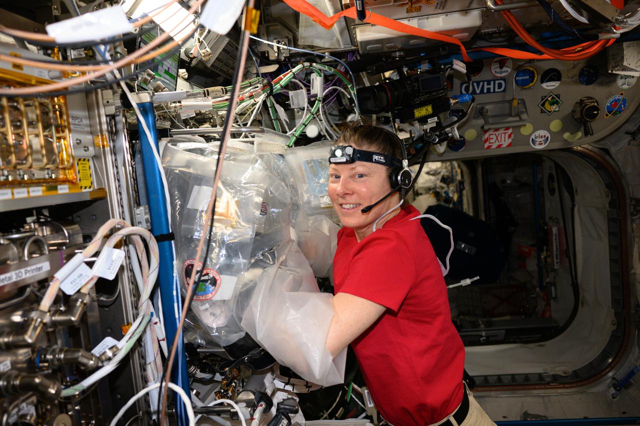 iss071e003194 (April 9, 2024) --- Expedition 71 Flight Engineer and NASA astronaut Tracy C. Dyson works in the BioFabrication Facility's portable glovebag located in the International Space Station's Columbus laboratory module. She was working on the Redwire Cardiac Bioprinting Investigation that may offer the ability to print food and medicines for future space crews. Results may also enable the bioprinting of replacement organs and tissues potentially alleviating the shortage of donor organs on Earth.