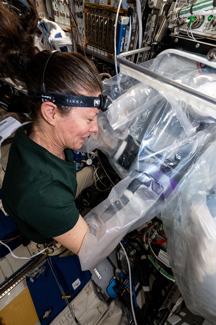 iss071e007507 (April 12, 2024) --- Expedition 70 Flight Engineer and NASA astronaut Tracy C. Dyson works inside the BioFabrication Facility using the portable glovebag aboard the International Space Station's Columbus laboratory module. She was working on the Redwire Cardiac Bioprinting Investigation that may offer the ability to print food and medicines for future space crews. Results may also enable the bioprinting of replacement organs and tissues potentially alleviating the shortage of donor organs on Earth.