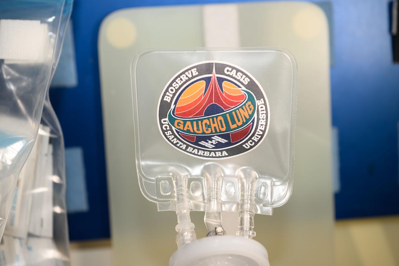 iss071e062589 (5/7/2024) --- A view of the Gaucho Lung Sample Pouch aboard the International space station (ISS). The Wicking in Gel-Coated Tubes (Gaucho Lung) investigation studies fluid transport within gel-coated tubes to learn more about treatment programs for respiratory distress syndrome and develop new contamination control strategies.
