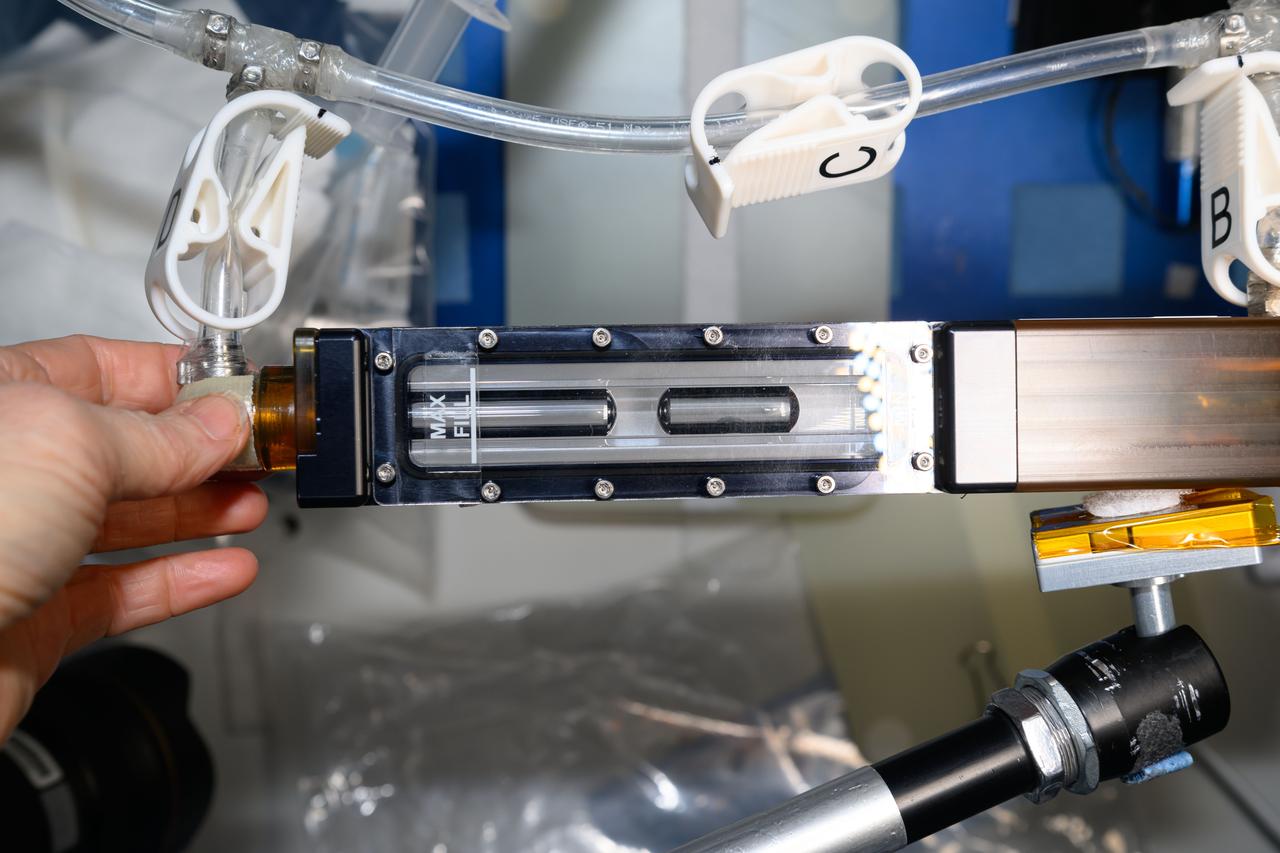 iss071e062603 (5/7/2024) --- A view of the Gaucho Lung investigation hardware aboard the International space station (ISS). The Wicking in Gel-Coated Tubes (Gaucho Lung) investigation studies fluid transport within gel-coated tubes to learn more about treatment programs for respiratory distress syndrome and develop new contamination control strategies.