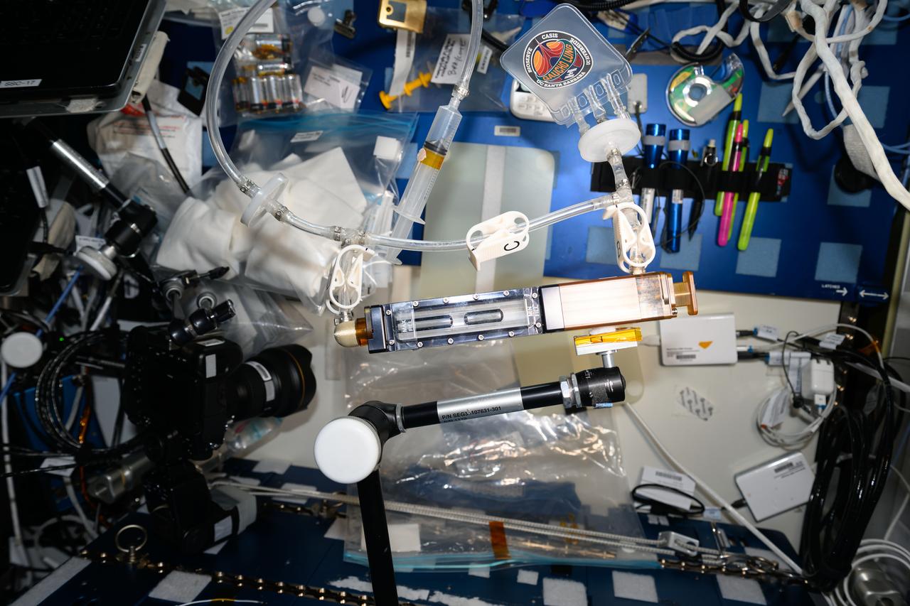 iss071e062617 (5/7/2024) --- A view of the Gaucho Lung investigation hardware aboard the International space station (ISS). The Wicking in Gel-Coated Tubes (Gaucho Lung) investigation studies fluid transport within gel-coated tubes to learn more about treatment programs for respiratory distress syndrome and develop new contamination control strategies.